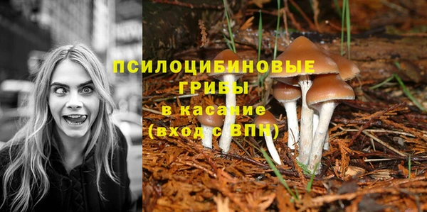 гидропоника Бронницы